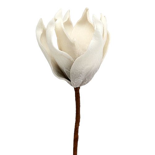 Floristik24 Magnolijos žiedas iš putplasčio pilkos spalvos, baltas Ø10cm L26cm 4vnt.