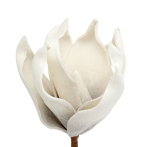 Floristik24 Magnolijos žiedas iš putplasčio pilkos spalvos, baltas Ø10cm L26cm 4vnt.