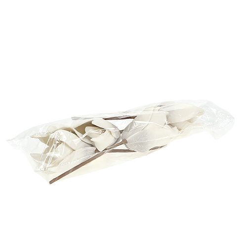 Floristik24 Magnolijos žiedas iš putplasčio pilkos spalvos, baltas Ø10cm L26cm 4vnt.