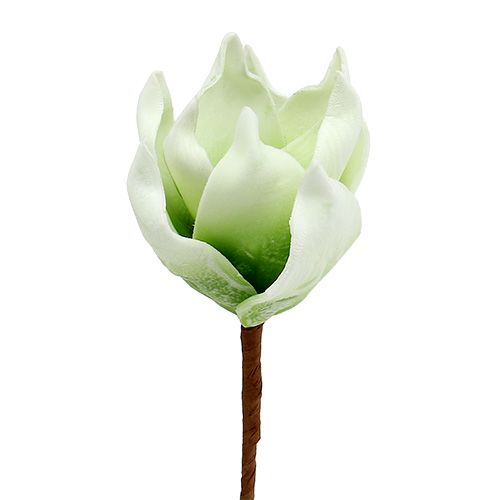 Floristik24 Magnolijos žiedas iš putplasčio baltai žalias Ø10cm L26cm 4vnt.