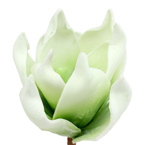 Floristik24 Magnolijos žiedas iš putplasčio baltai žalias Ø10cm L26cm 4vnt.