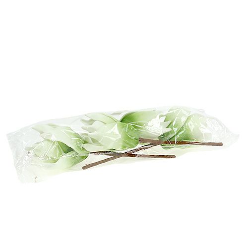 Floristik24 Magnolijos žiedas iš putplasčio baltai žalias Ø10cm L26cm 4vnt.