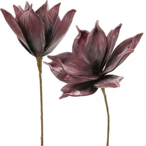 Floristik24 Dirbtinė gėlė magnolijos violetinė putplasčio gėlė Ø10cm 6vnt