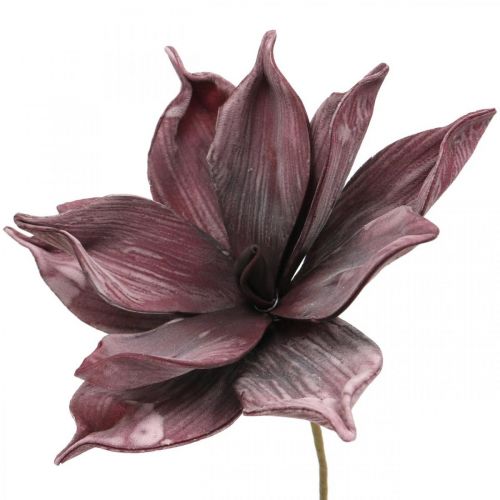 Floristik24 Dirbtinė gėlė magnolijos violetinė putplasčio gėlė Ø10cm 6vnt