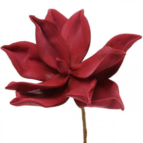 Floristik24 Dirbtinė magnolijos raudona dirbtinių gėlių putų gėlių dekoracija Ø10cm 6vnt
