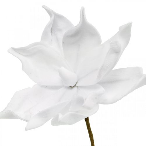 Floristik24 Dirbtinė magnolijos balta dirbtinė gėlė ant pagaliuko Ø10cm Putplastis 6vnt