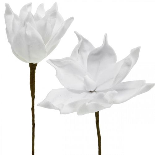 Floristik24 Dirbtinė magnolijos balta dirbtinė gėlė ant pagaliuko Ø10cm Putplastis 6vnt