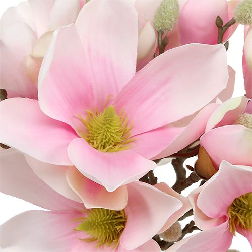 Floristik24 Magnolijų kekė rožinė 40cm 5vnt