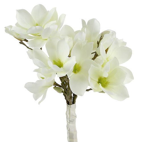 daiktų Magnolijų kekė balta 40cm 5 vnt