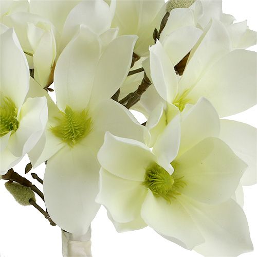 daiktų Magnolijų kekė balta 40cm 5 vnt