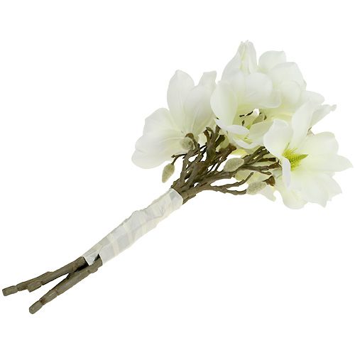 daiktų Magnolijų kekė balta 40cm 5 vnt