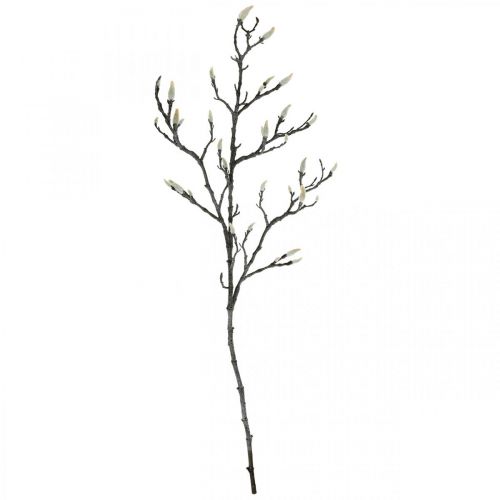 Floristik24 Spring Magnolia Branch pumpuras Dirbtinis šakelė Ruda Balta L100cm