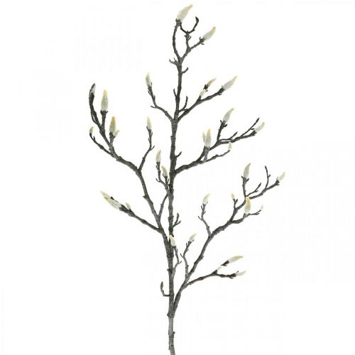 Floristik24 Spring Magnolia Branch pumpuras Dirbtinis šakelė Ruda Balta L100cm