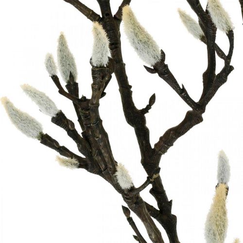 daiktų Dirbtinė magnolijos šakelė pavasario dekoravimo šakelė su pumpurais Ruda Balta L135cm
