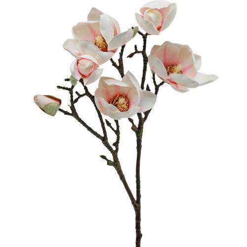 Floristik24 Magnolijos šakelė Rožinės dirbtinės magnolijos šilko gėlės