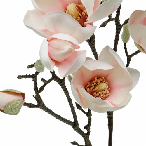 Floristik24 Magnolijos šakelė Rožinės dirbtinės magnolijos šilko gėlės