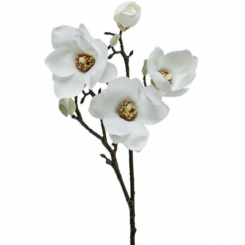 Floristik24 Magnolijos šakelė balta Dekoratyvinė šakelė magnolijos dirbtinė gėlė