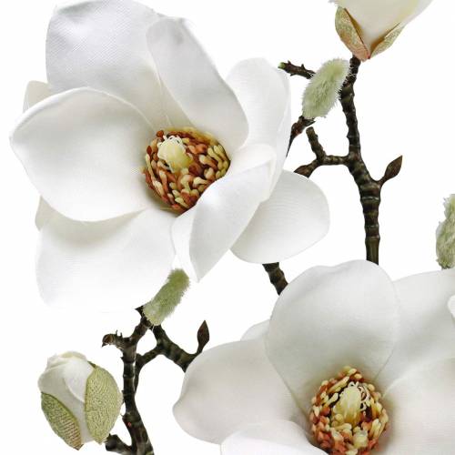 daiktų Magnolijos šakelė balta Dekoratyvinė šakelė magnolijos dirbtinė gėlė