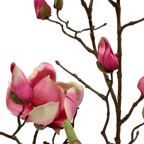 Floristik24 Magnolijos šakelė violetinė 110cm 1vnt