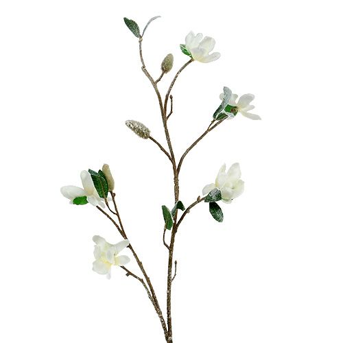 Floristik24 Magnolijos šakelė balta L 82cm su sniegu