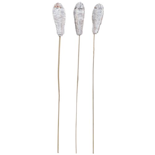 daiktų Raudonmedžio ankštys sausa apdaila natūrali balta 45cm 50 vnt