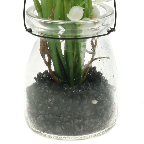 Floristik24 Slėnio lelija stiklinėje pakabinti H22cm
