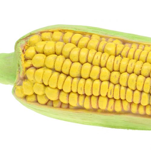 Floristik24 Kukurūzų burbuolės meno daržovės 20cm