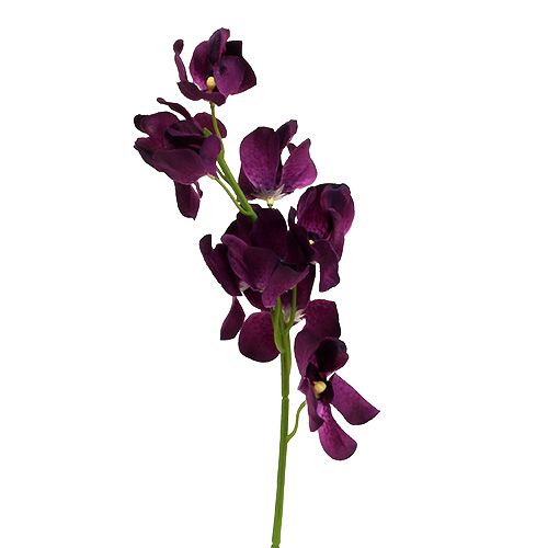 Floristik24 Mokara orchidėja violetinė 50cm dirbtinė 6vnt
