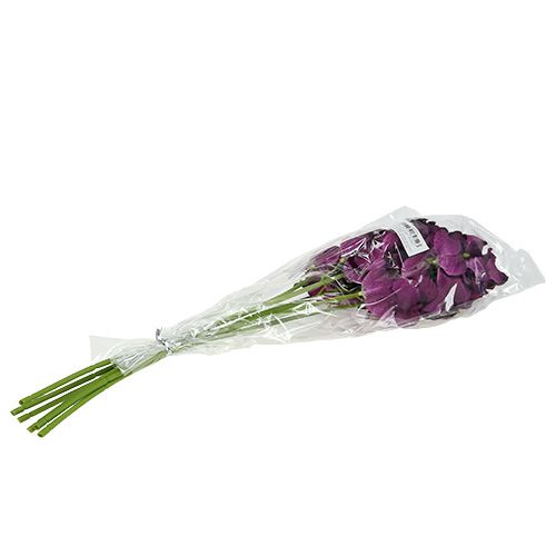 daiktų Mokara orchidėja violetinė 50cm dirbtinė 6vnt