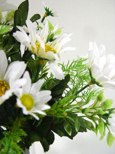 Floristik24 Maža puokštė ramunėlių