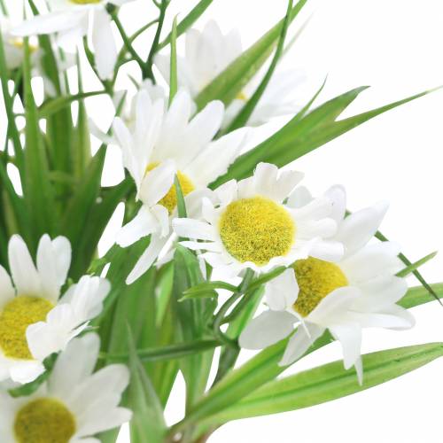 Floristik24 Ramunėlių puokštė su dekoratyvine žole 37cm
