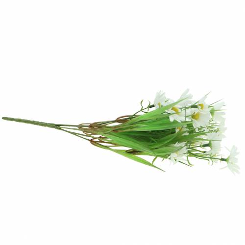 Floristik24 Ramunėlių puokštė su dekoratyvine žole 37cm