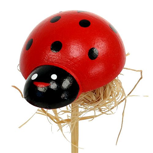 daiktų Boružėlė ant medinio pagaliuko su sizalio puošmena 3,5cm 24 vnt