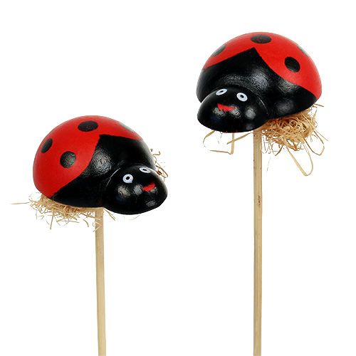 Boružėlė ant medinio pagaliuko su sizalio puošmena 5cm 24 vnt