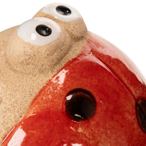 daiktų Boružėlės sodo kuolai, dekoratyvinis akį traukiantis sodo dekoravimui, 25 cm, 4 vnt.