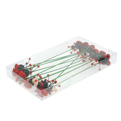 Floristik24 Boružėlė ant pagaliuko 5cm 12vnt