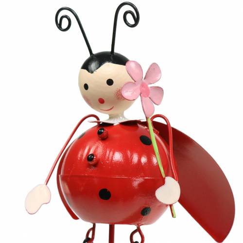 Floristik24 Deco kištukas ladybug metal H35cm 3vnt