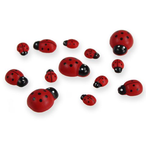 Floristik24 Deco ladybug klijavimui 1-2,5cm raudona 255p