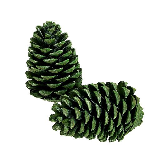 Maritima kūgiai 10cm - 16cm žalias matinis 12 vnt