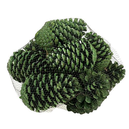 daiktų Maritima kūgiai 10cm - 16cm žalias matinis 12 vnt