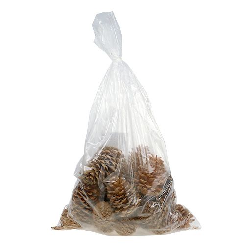 daiktų Maritima kūgiai kremo-vanilės mišinio 5-18cm 25 vnt