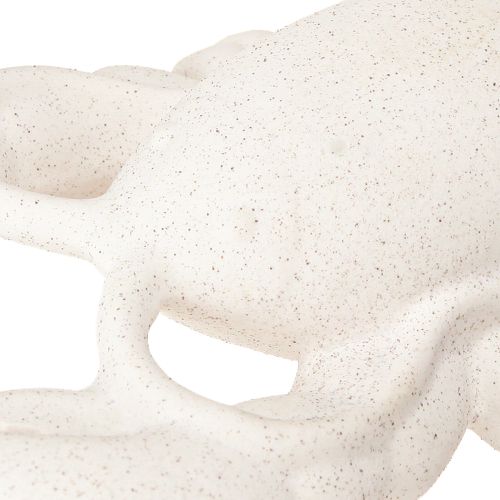 daiktų Maritime Decoration Keramikinė Figūra Omaras Balta 26,5×13×5cm