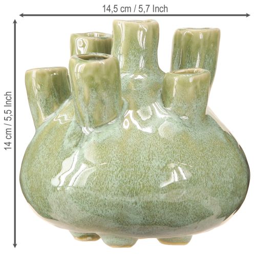 daiktų Maritime Decoration Vaza Coral Design Šviesiai žalia Ø14.5cm H14cm