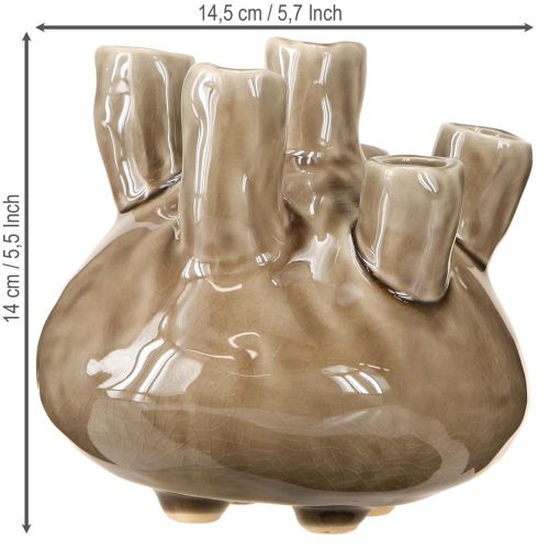 daiktų Maritime Vase Decoration Coral Design Ruda Ø14.5cm H14cm