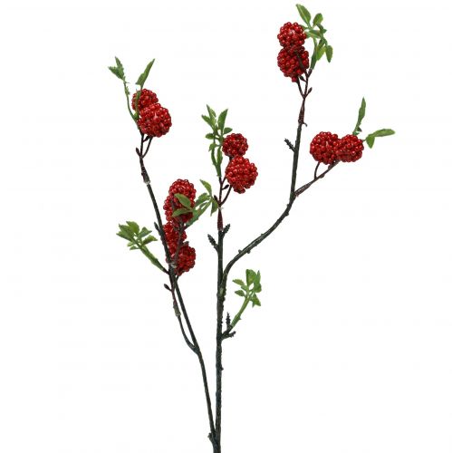 Floristik24 Uogų šakelė dirbtinė kalėdinė šakelė šilkmedžio 63cm