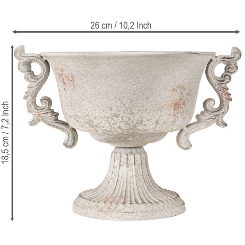daiktų Metalinis dekoratyvinis trofėjus su rankenomis vintažinės pilkos spalvos rūdys H18,5cm