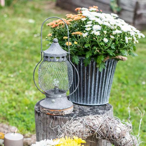 Floristik24 Metalinis žibintas, LED lempa, Shabby Chic Ø16cm H33,5cm