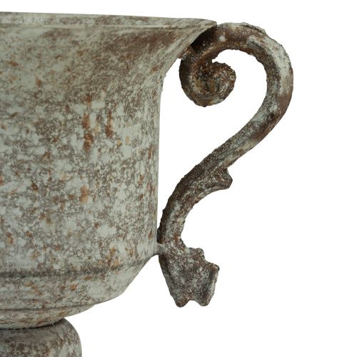 daiktų Metalinis dekoratyvinis trofėjus su rankena ruda balta Ø13.5cm H19.5cm