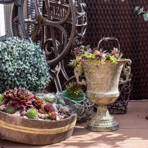 Floristik24 Metalinė taurė samanų žalia smėlio spalvos Ø16cm H24cm