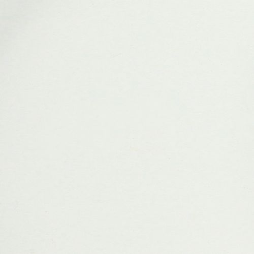 daiktų Padėklas su praktiškomis rankenomis, skirtas įvairiam naudojimui namuose ir maitinimo sektoriuje, 22 cm